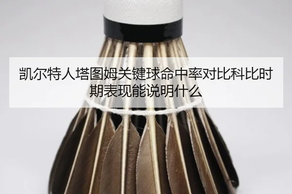 kai-er-te-ren-ta-tu-mu-guan-jian-qiu-ming-zhong-lv-dui-bi-ke-bi-shi-qi-biao-xian-neng-shuo-ming-shen-me-1-539.jpg